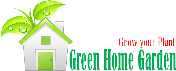 Logo (572x235)