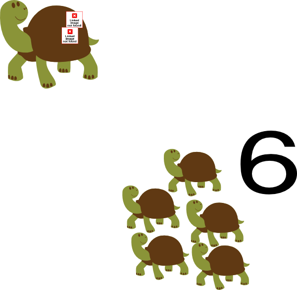 Turtle Clip Art - Brisbane (600x586)