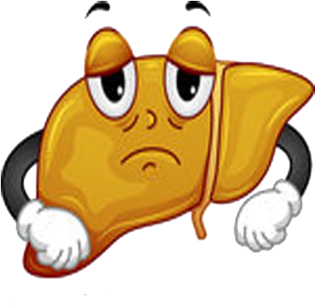 4 - - Fatty Liver Cartoon (512x512)