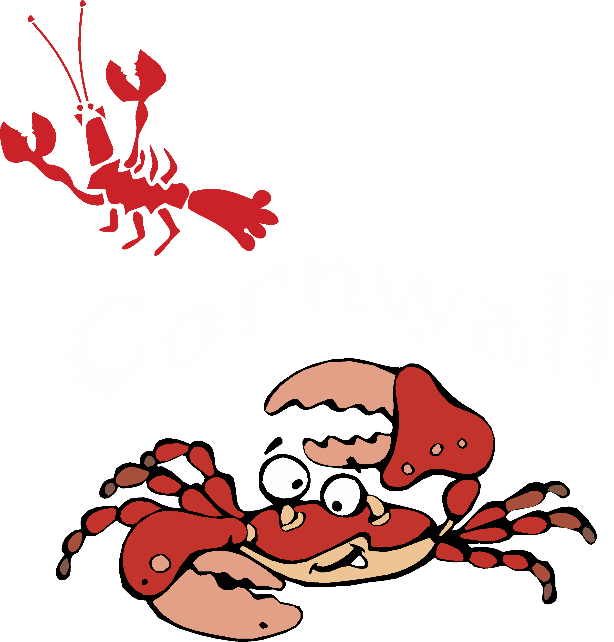 Cornish Crab - Crab (2515x2630)