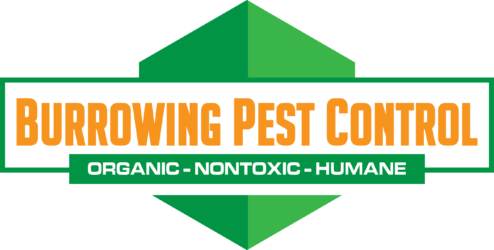Burrowing Pest Control - Graphic Design (494x250)