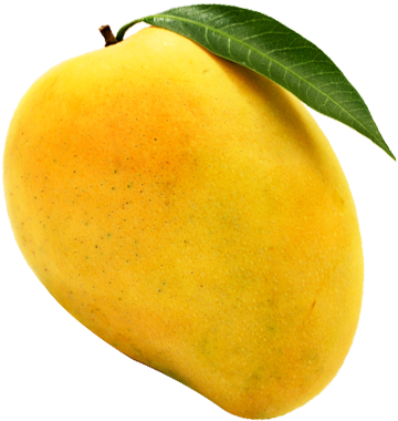 Alphonso Mango Png (370x397)