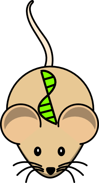 Mouse Clip Art (324x598)