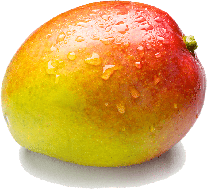 Mango Png (800x709)