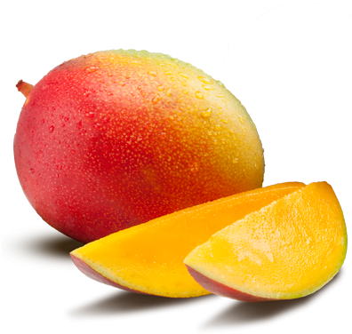 Mango - Mango Png (480x480)