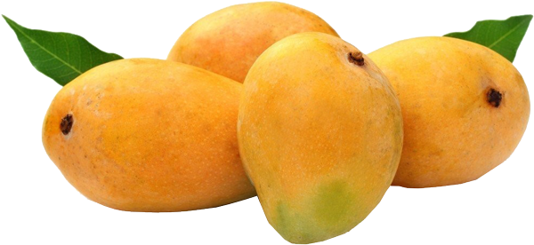 Mango - Hapus Mango (600x344)