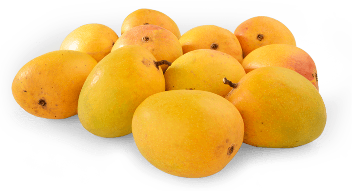 Ratnagiri Mango Pulp - Alphonso Mango Png (710x385)