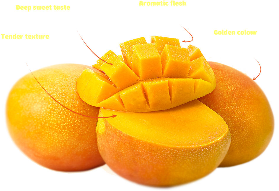 Australia Mango - Indian Mango Alphonso (944x660)