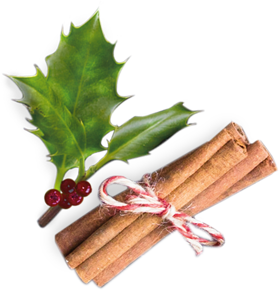 Festive Detail - Rhubarb (600x600)