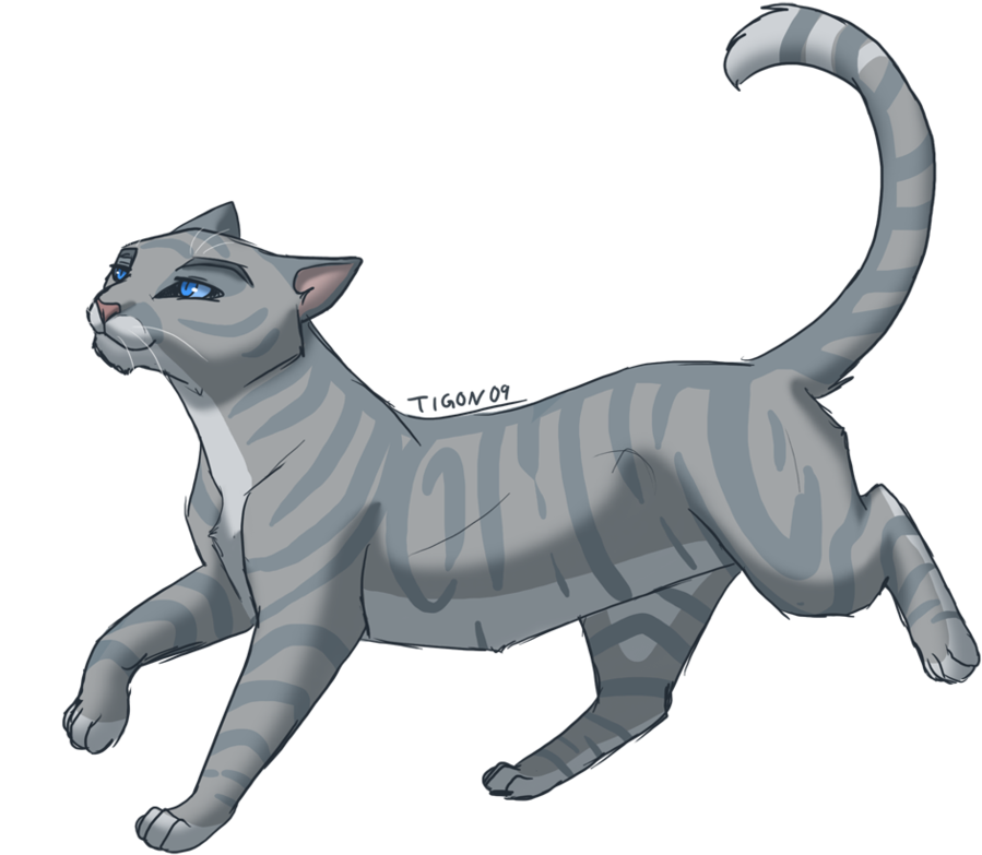 Height=447]http - Warriors Cats Silverstream (954x837)