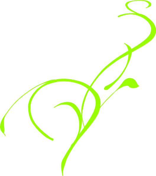 Vine Clip Art (528x595)