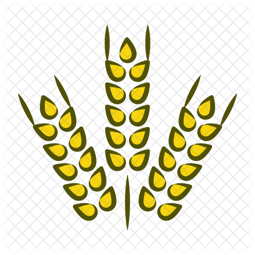 Wheat Grass Icon - Wheat Grass Icon (512x512)