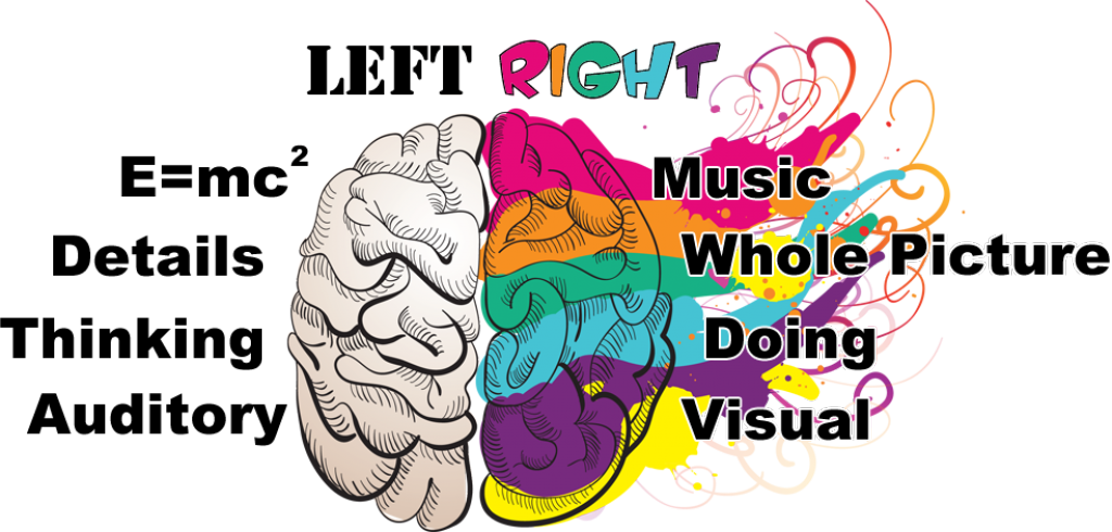 Brain And The Learning Styles (1024x490)