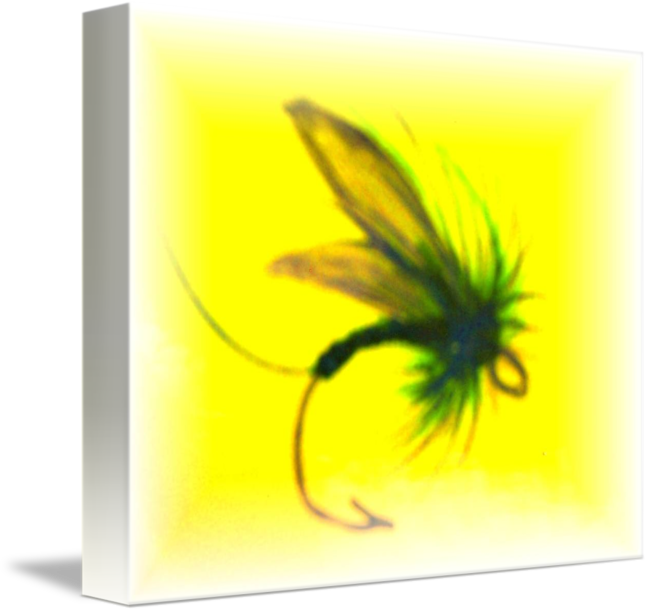 Insect (650x613)