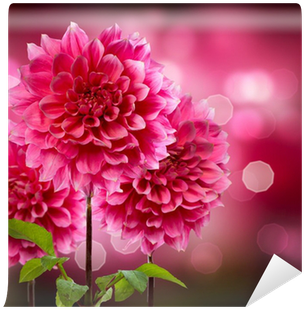 Flower (400x400)