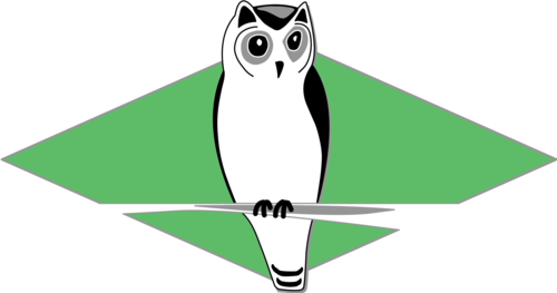 Birding Ecotours - Birding Ecotours (500x263)