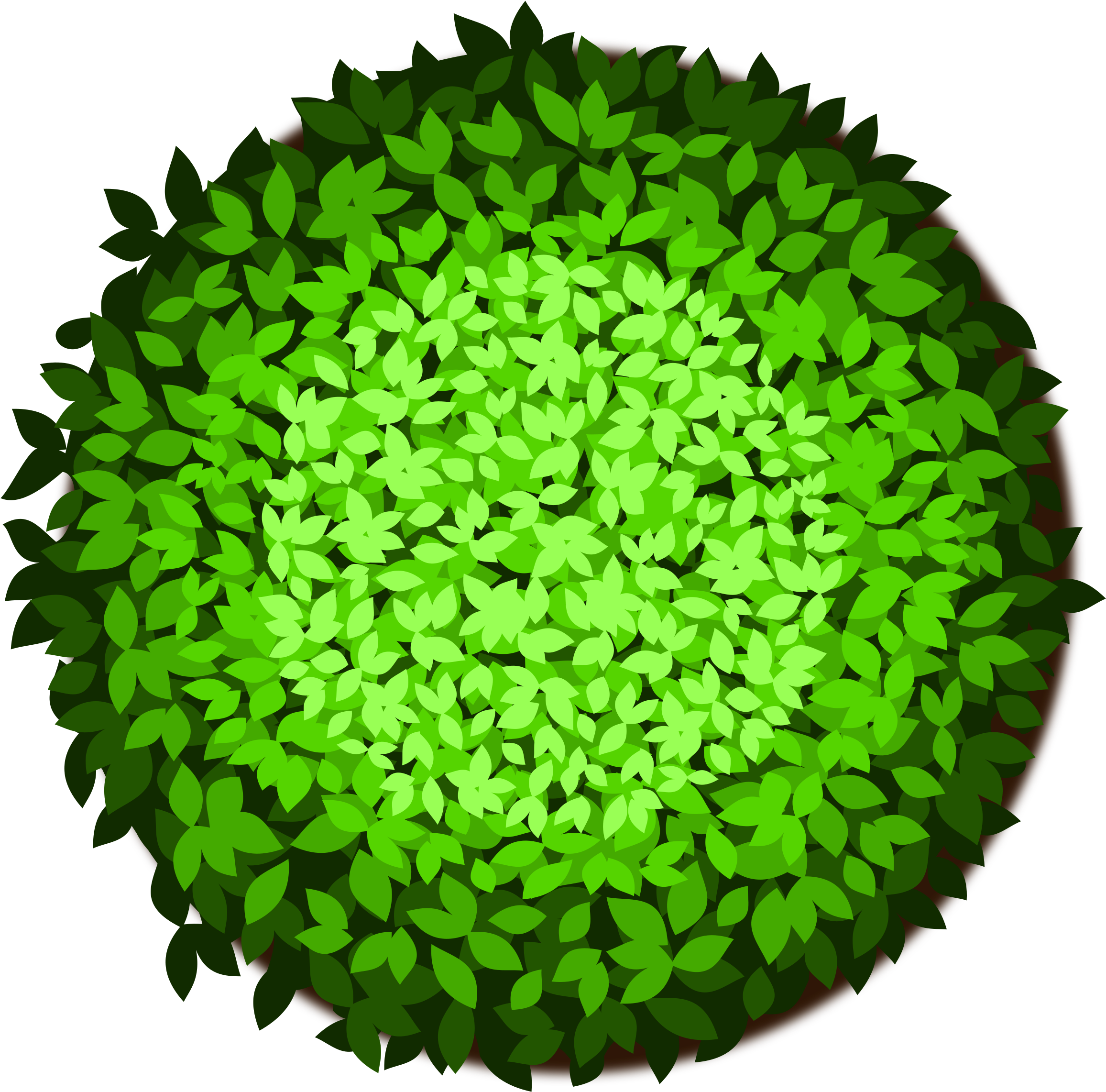 Big Image - Trees Top View Clipart (2400x2400)