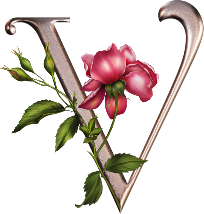 Яндекс - Фотки - Letra V Com Flores (672x704)