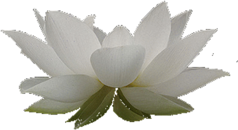 About The Site - Zen (477x271)