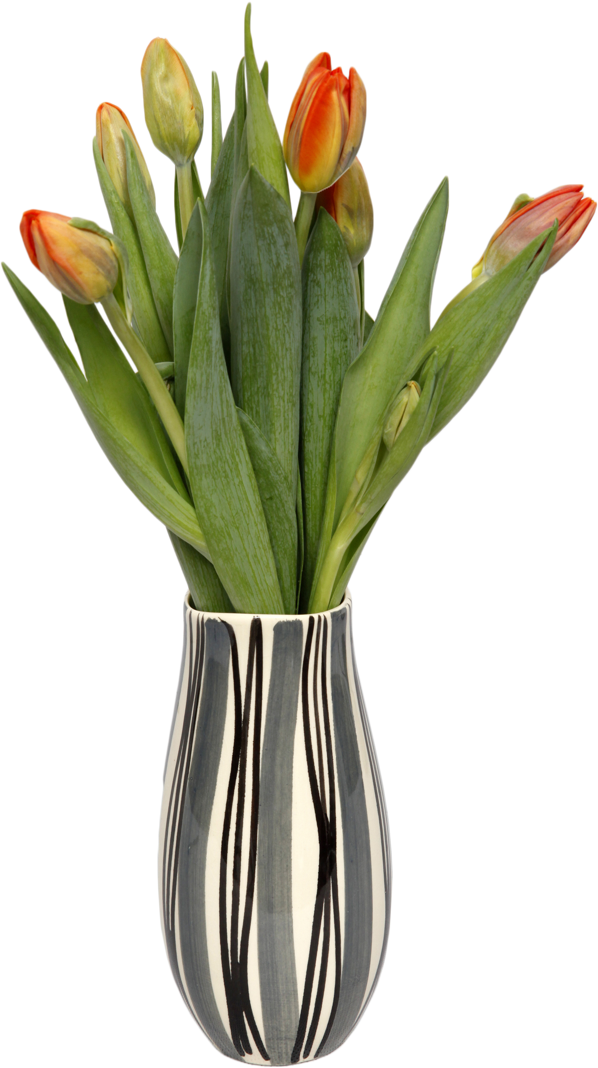Koło Wazon - Vase (1667x2500)