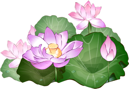 Lotus Flower Clipart (960x367)