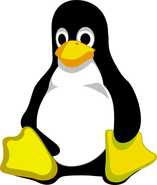 Linux Logo Png (544x640)