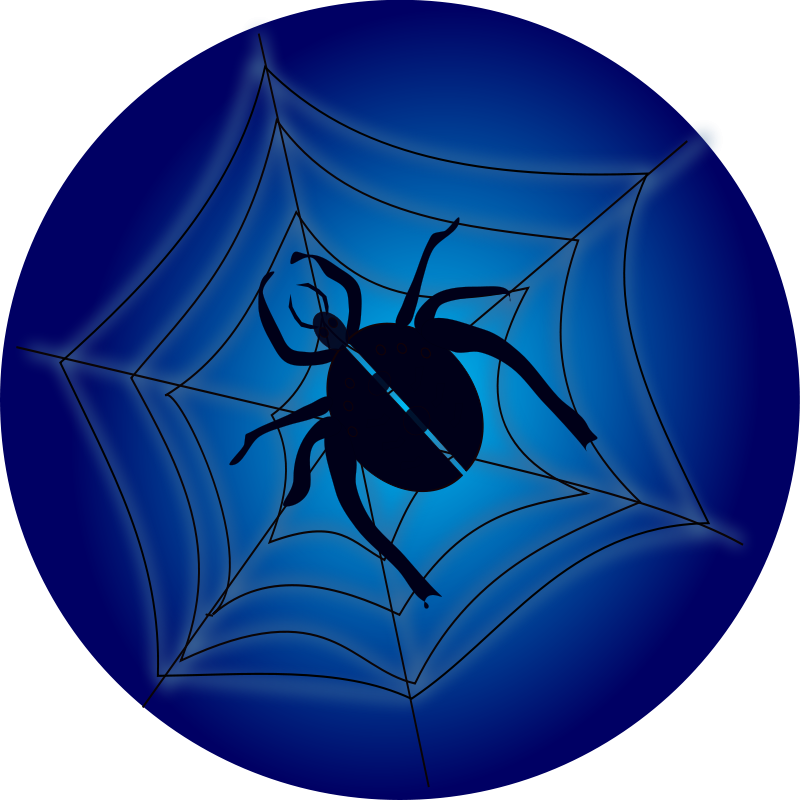 Spider On Web Free Vector - Clip Art (800x800)