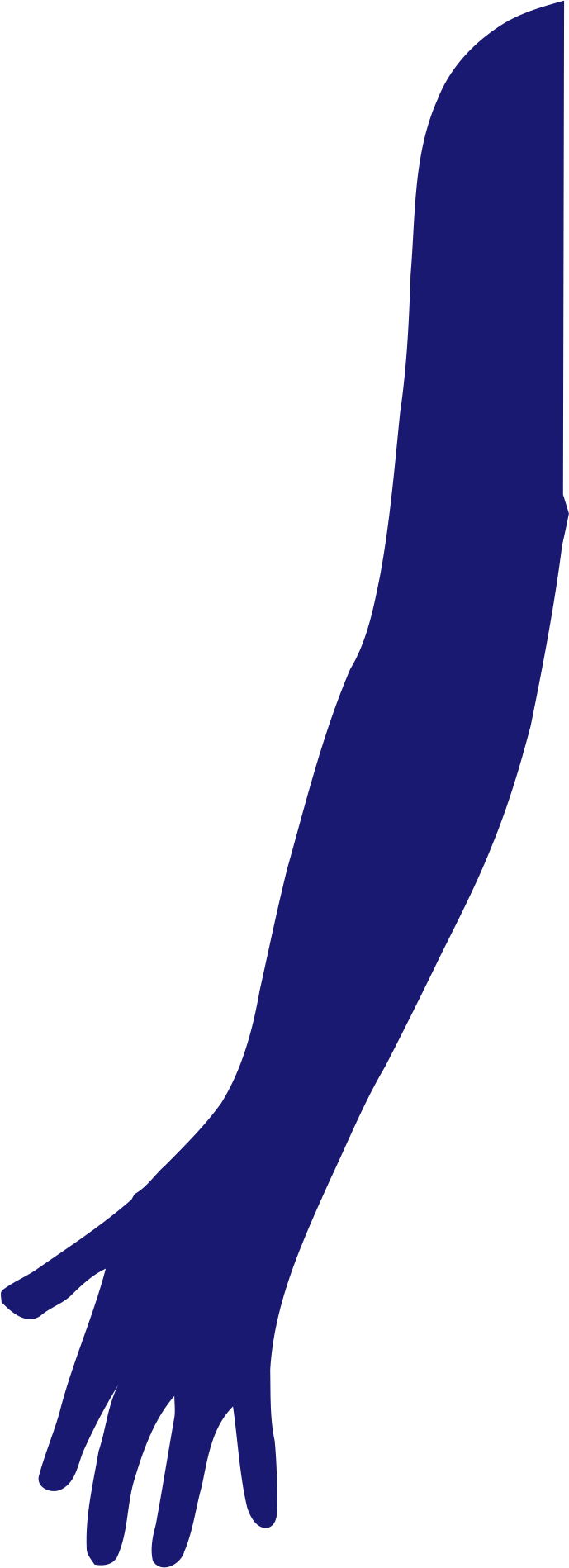Head/face - Head/face (689x1898)