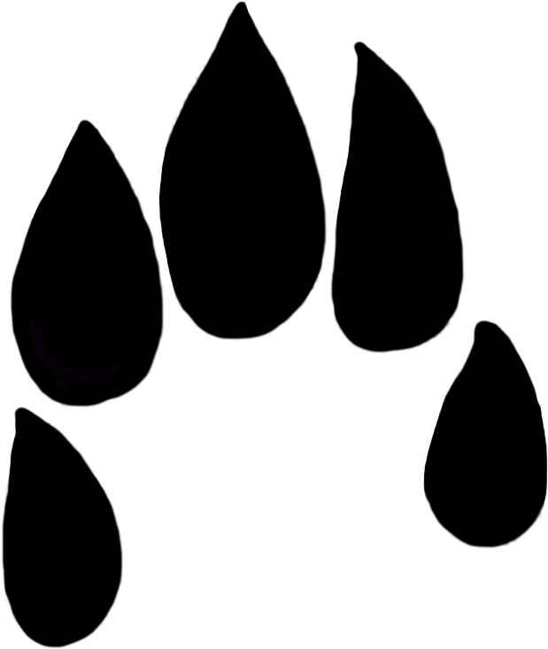 Rabbit Paw Print Transparent (761x1063)