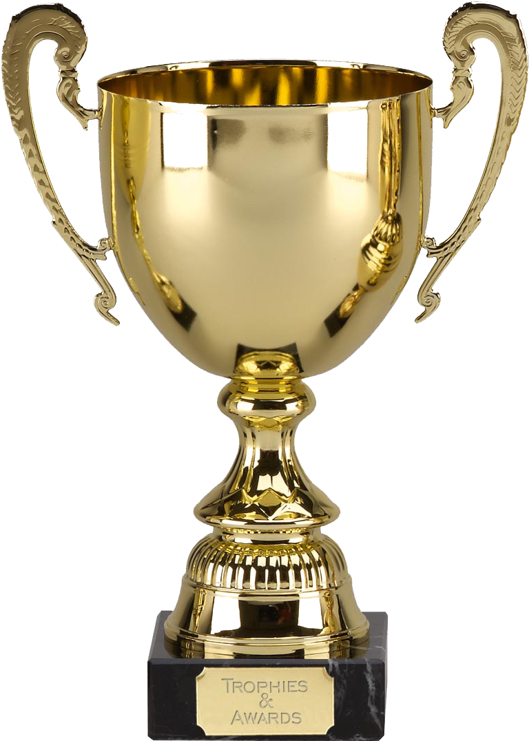 Drawn Trophy Competitive - Trophy Png (808x1131)