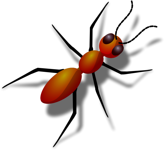 Ant Free Vector - Animals With 6 Legs (800x800)