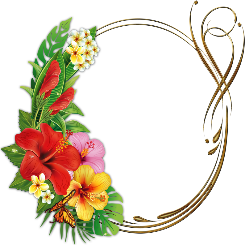 Яндекс - Фотки - Frame Tropical Png (800x800)