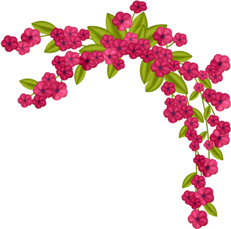 Https - //picasaweb - Google - - Clip Art (512x467)