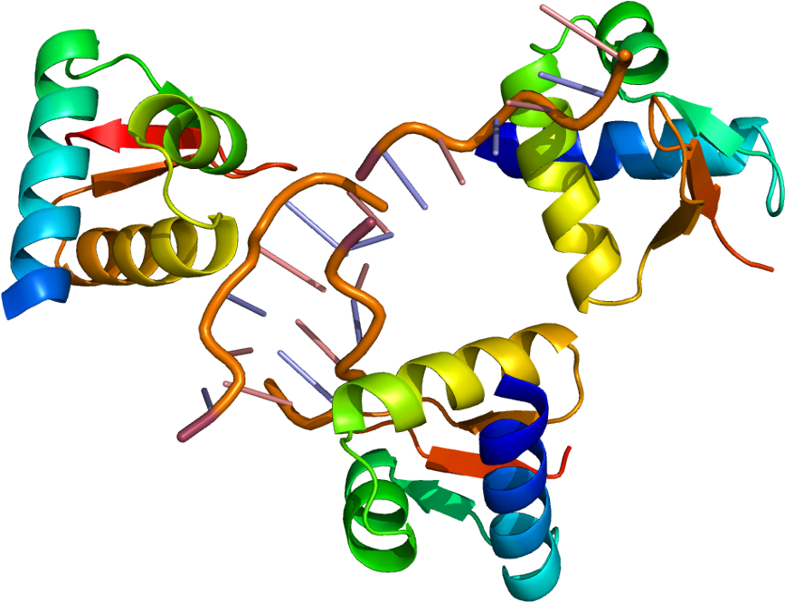 Adar Protein (917x715)