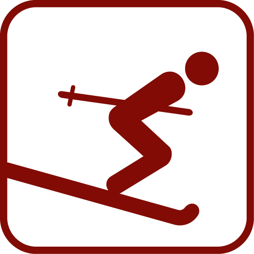 Skiing (517x517)