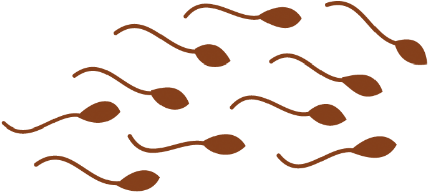 Clip Art (1012x552)