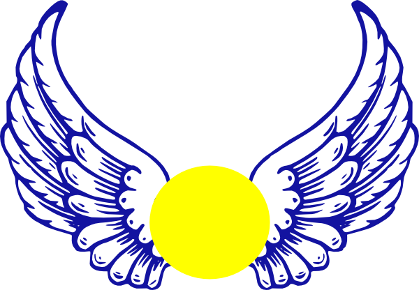 Angel Wings (600x416)