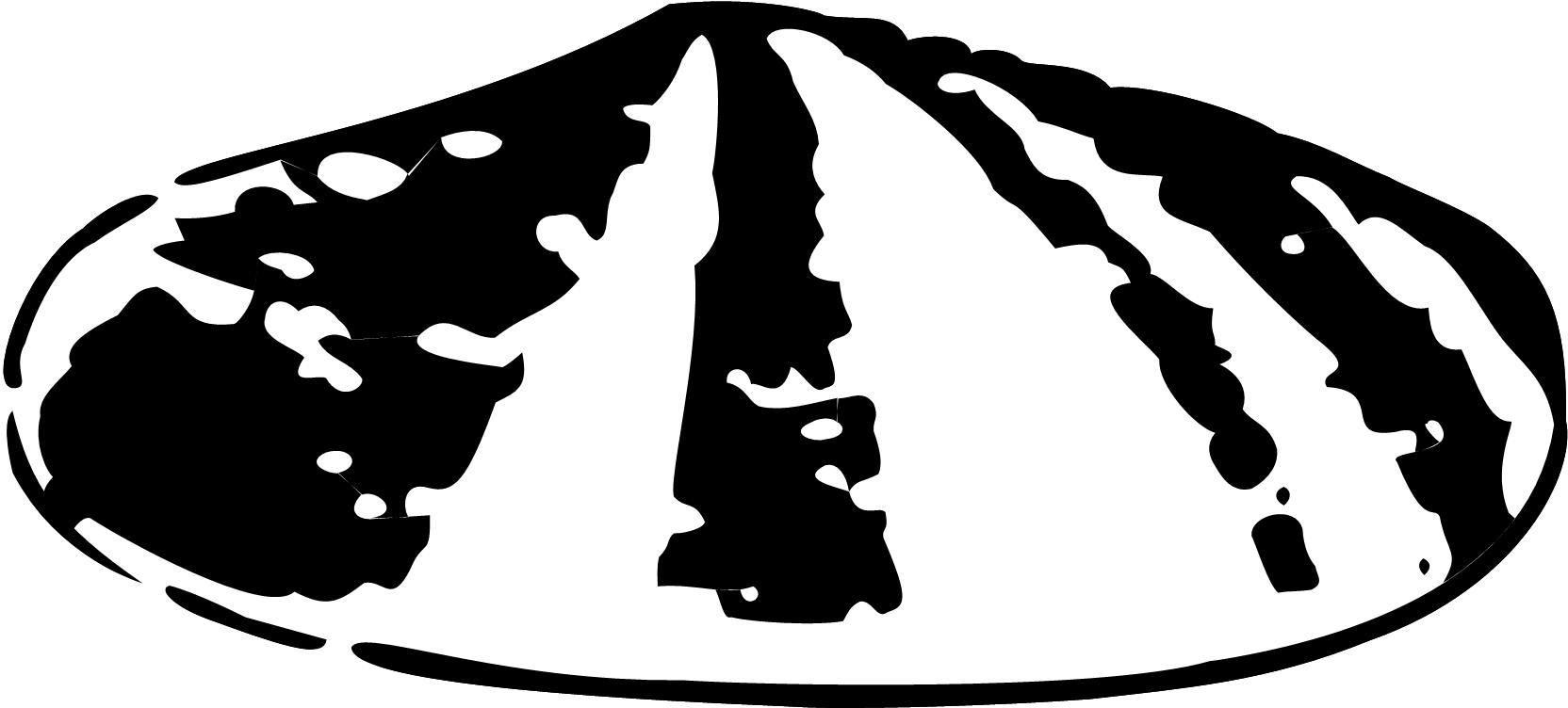 Shell Oil Company - Shell First Logo (1737x798)