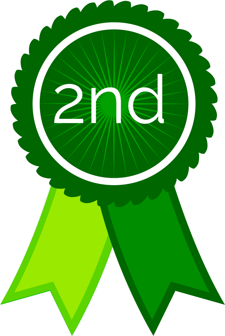 2nd Place Rosette - Award Render Ribbon (800x1178)