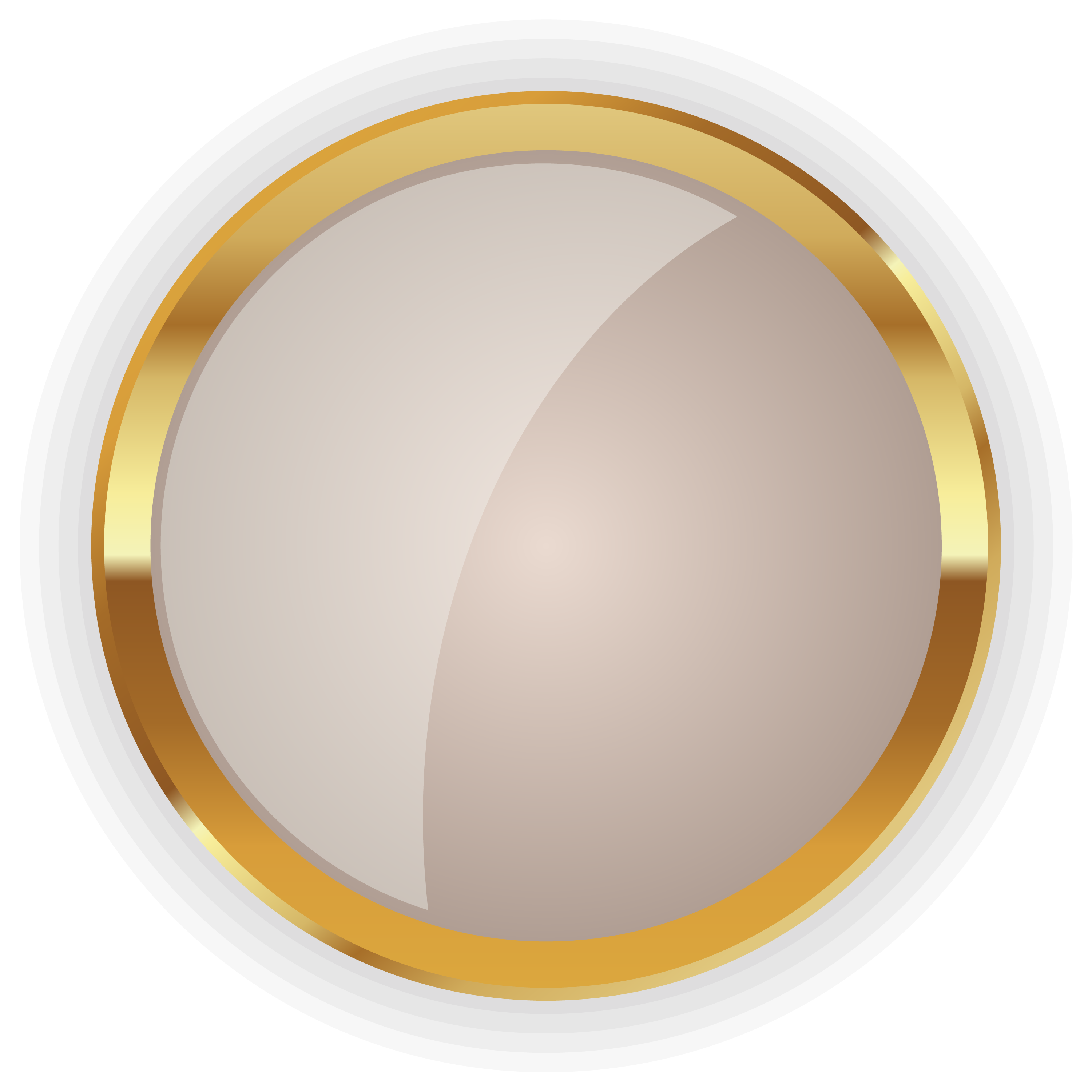 Circle Disk Gold - Circulo Ouro Png (3001x3001)