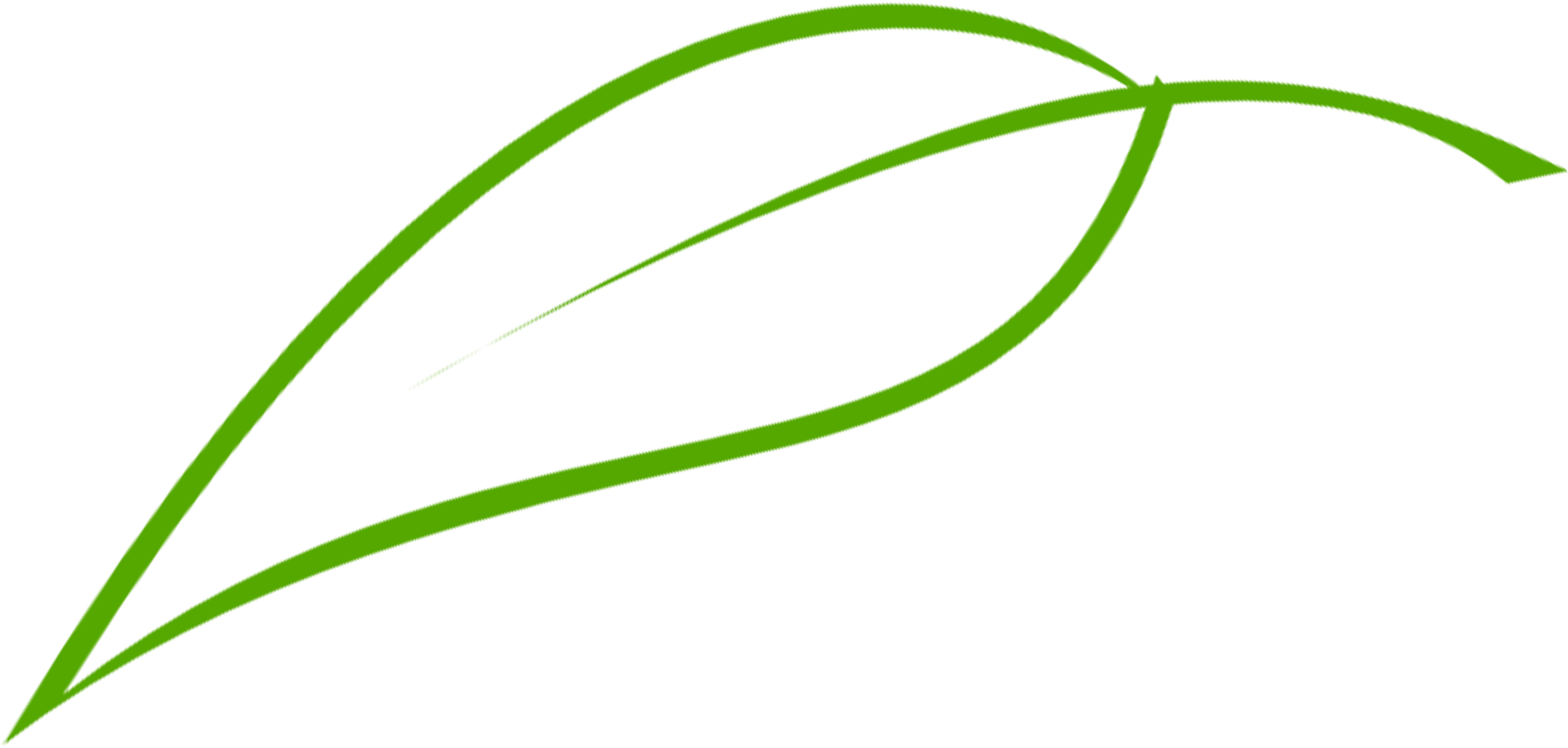 Leaf Image - Leaf For Logo Png (3496x1417)