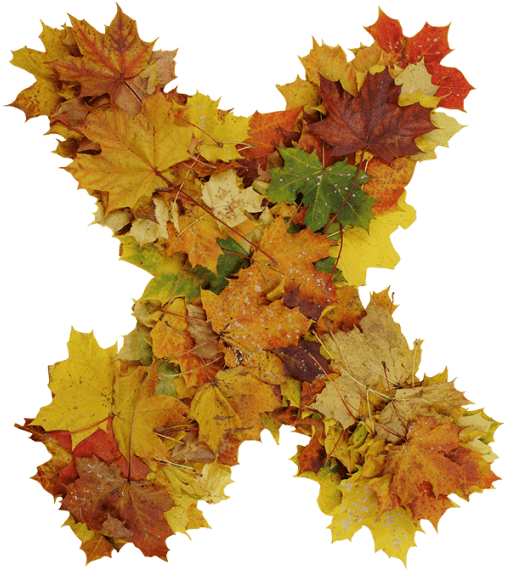 Autumn Font - Autumn (595x595)