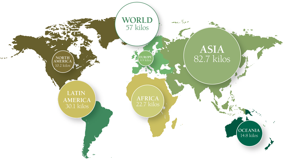 Average World Rice Intake - Black World Map Transparent (1000x568)