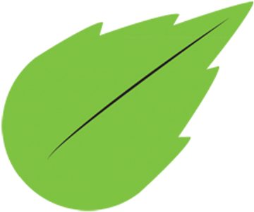 Fresh Mint Labs - Fresh Mint Labs (400x400)