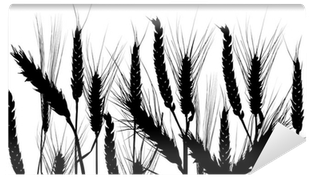 Monochrome (400x400)