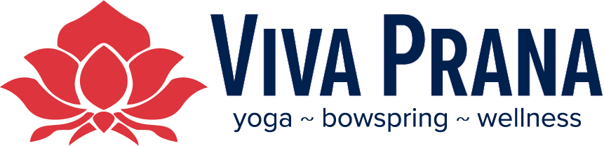 Viva Prana (861x208)