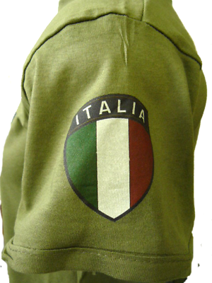 Ingrandisci - Coque Iphone Italie (300x400)