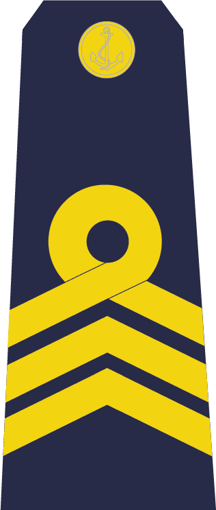 Trung Sĩ Nhất-navy - Parallel (316x744)