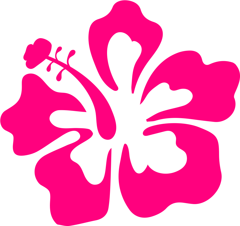 Buncee Beats The Rest - Hibiscus (1000x954)