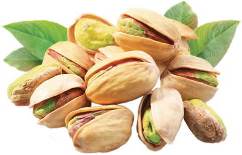 Balkrishna Agro - Pistachios (500x400)